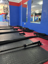 Load image into Gallery viewer, Fixed Landmine