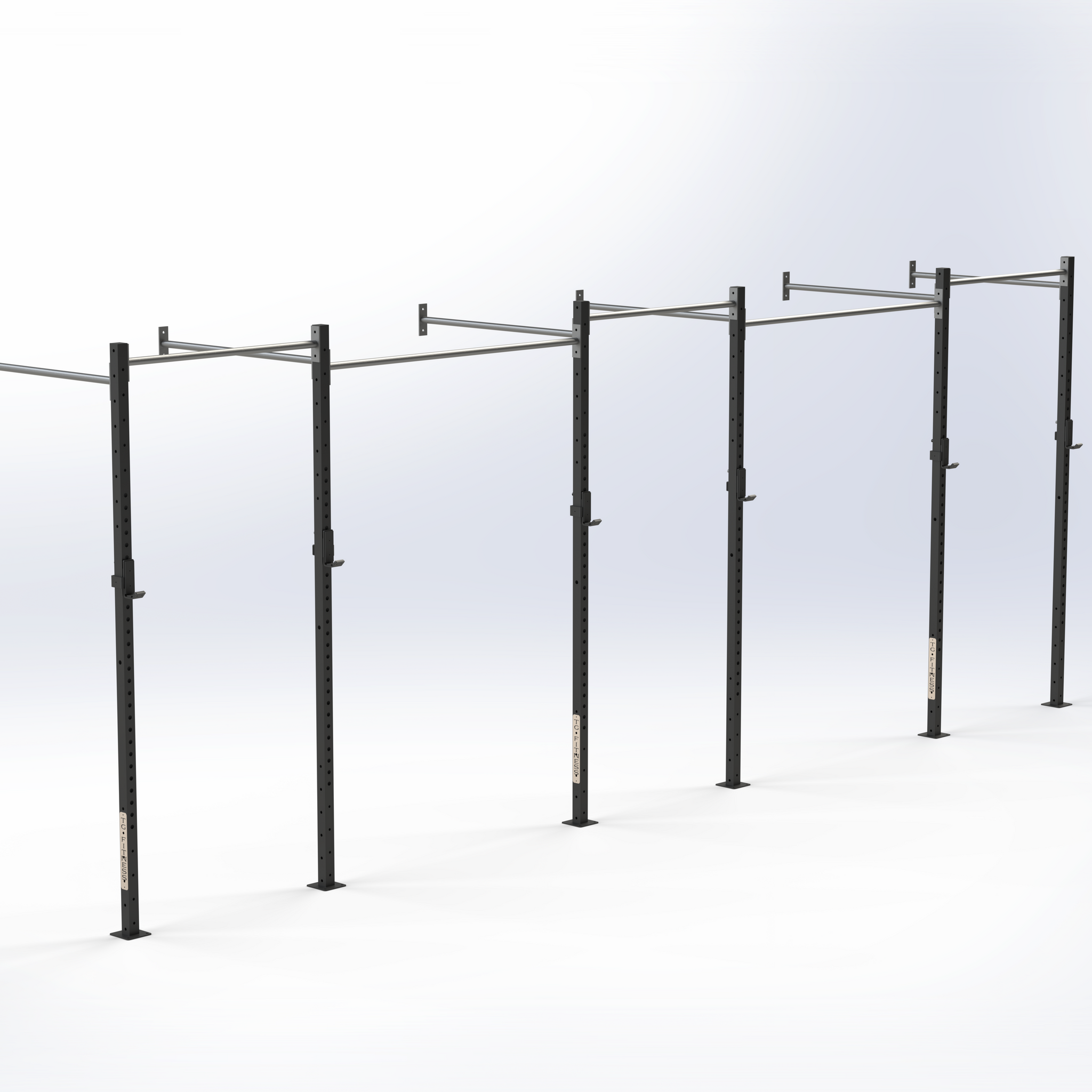Crosfit Rings Homebase Rig CrossFit Rig – TG Fitness