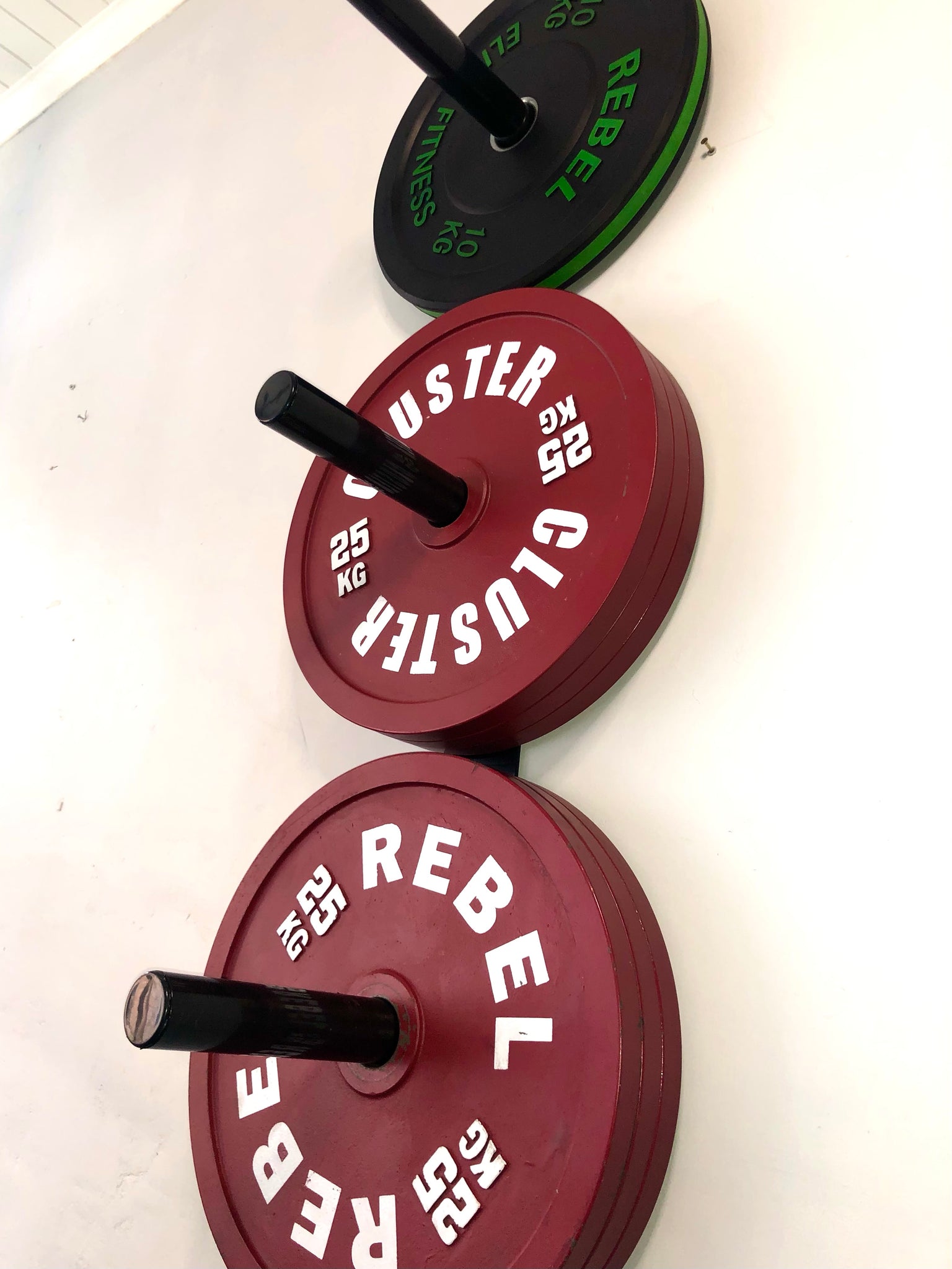 Wall Mounted Plate Holder TG Fitness